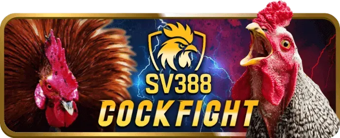 Tối ưu hóa hiệu suất chơi game 09vip